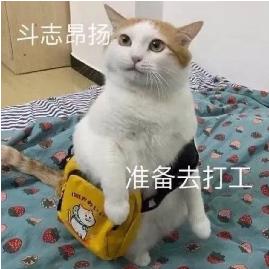 🗝️配吗