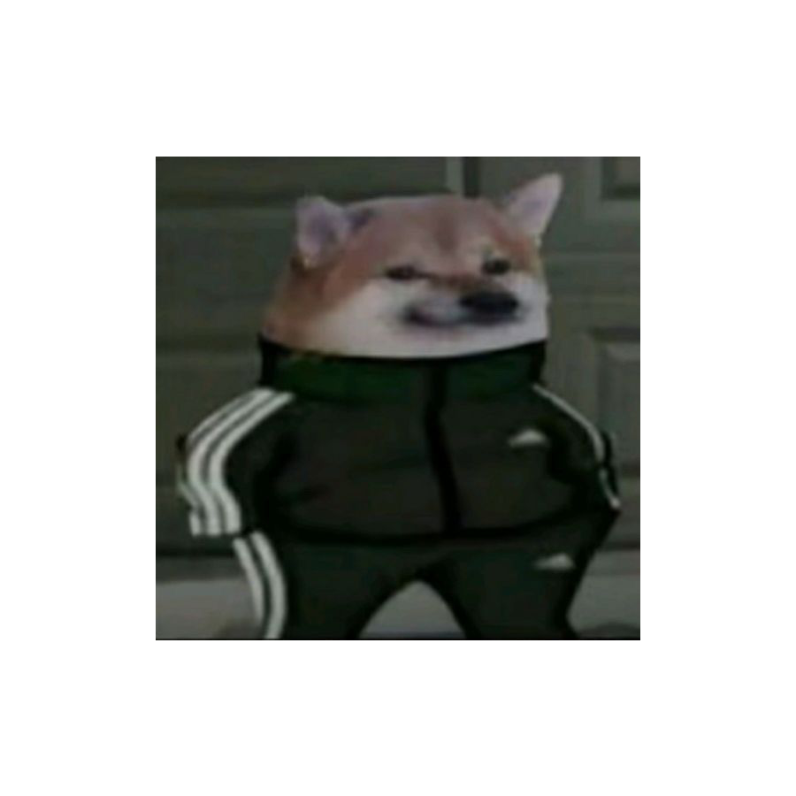 美团阿靠