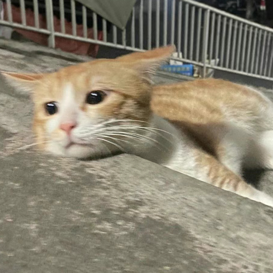 听风