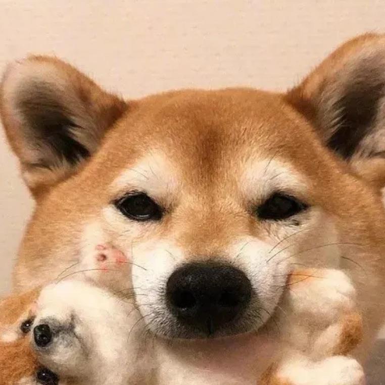 铁锅炖大鹅