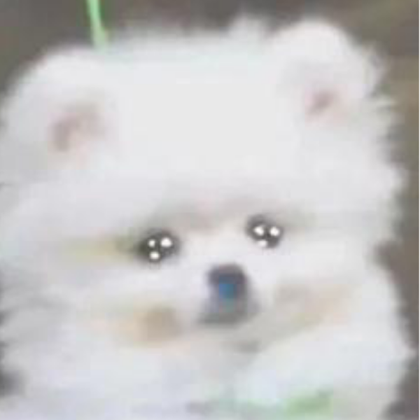 午失