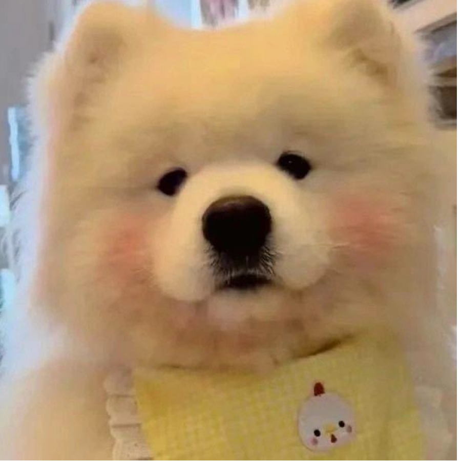 67876