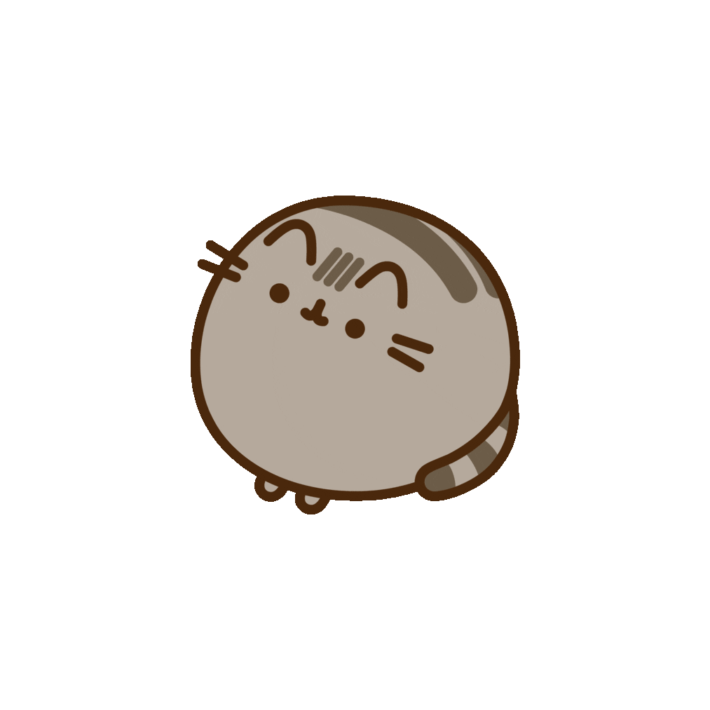 一只胖吉猫
