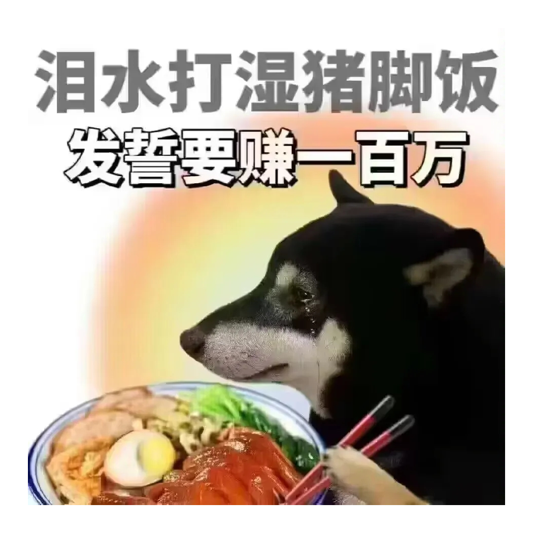 忍者神亀头疼