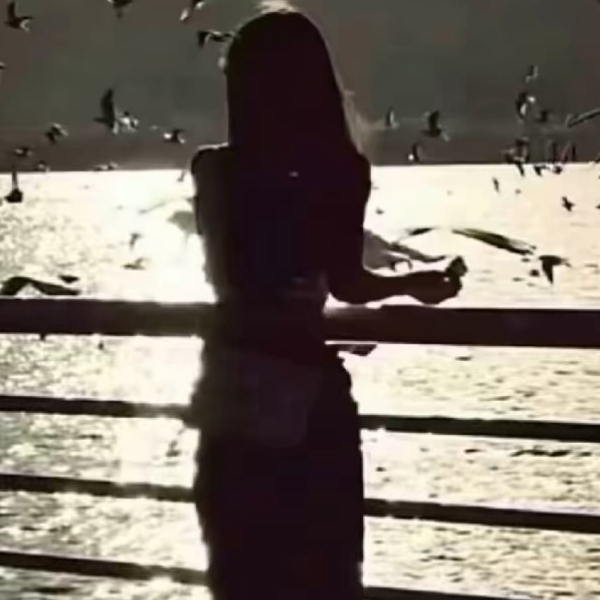 诗诗