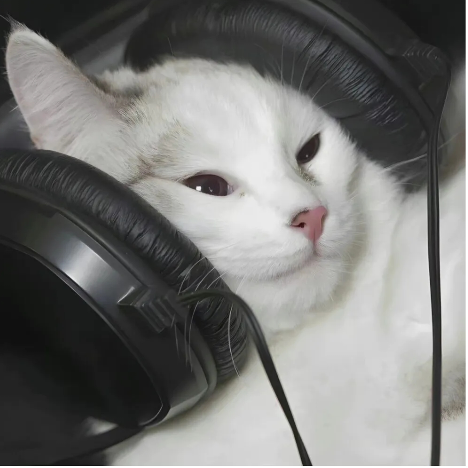 禾