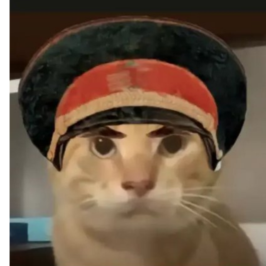 大卫