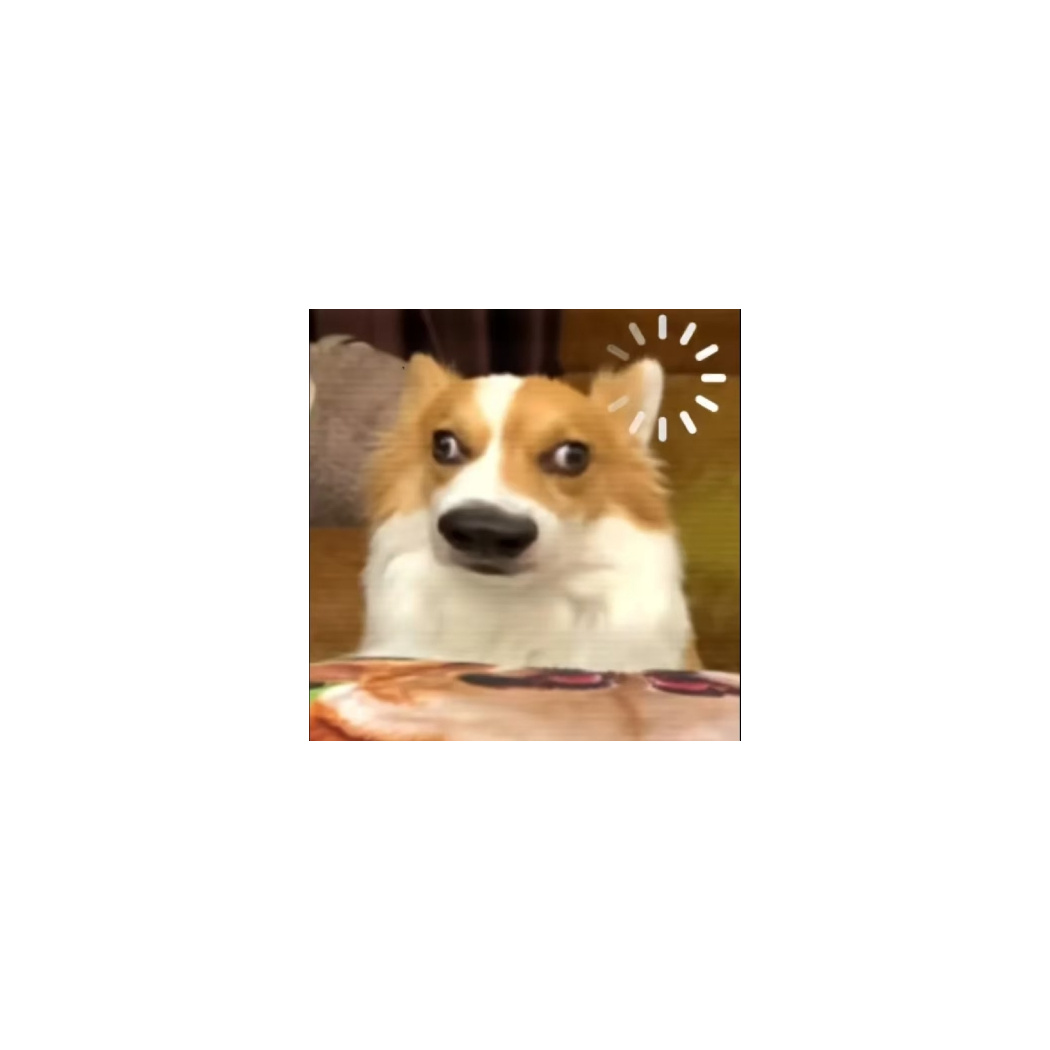 麟羽丶