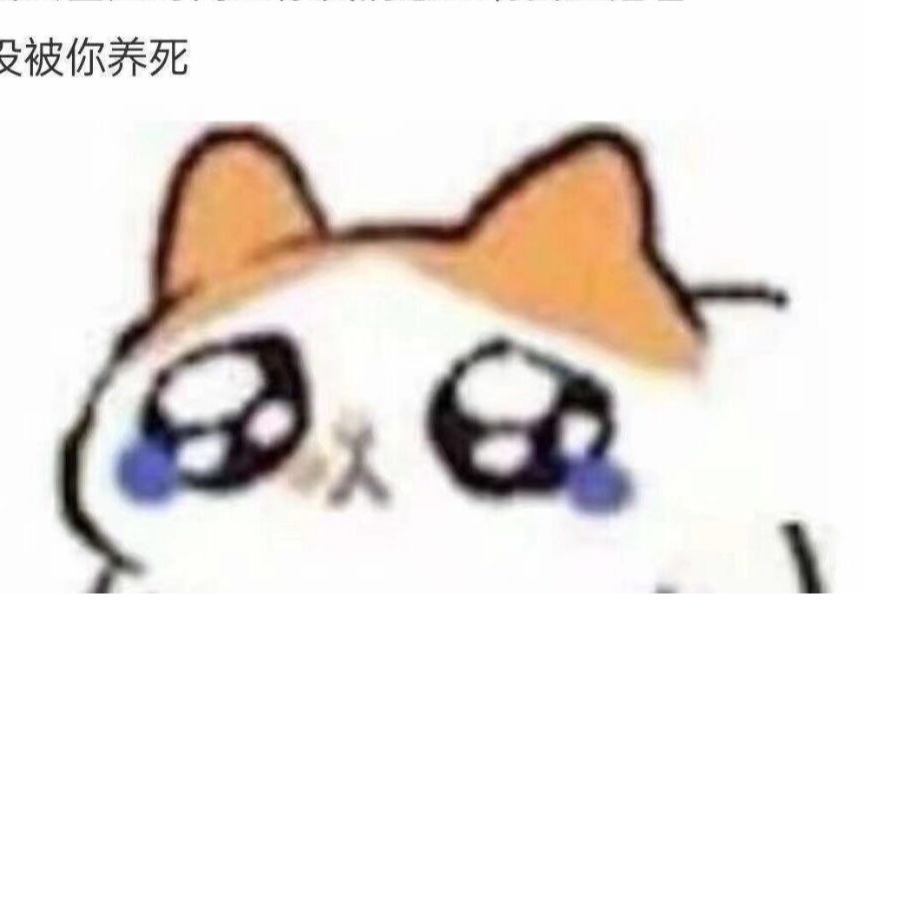藜梦之渊