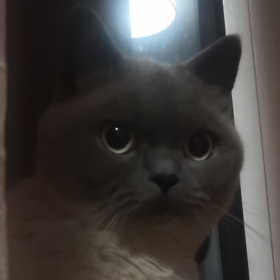 羲瑞