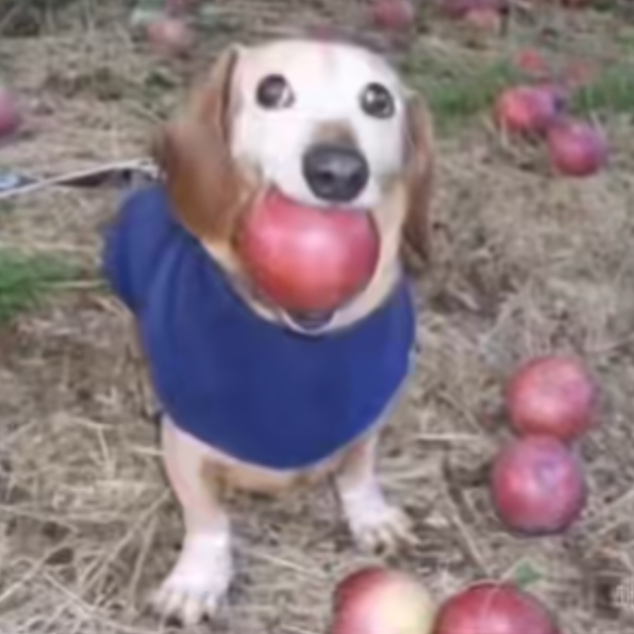 ⠀⠀⠀⠀⠀⠀⠀⠀