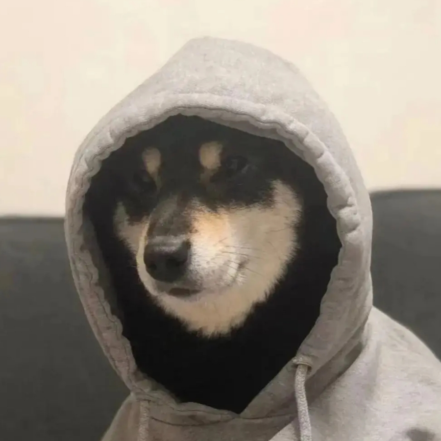 什么都不懂