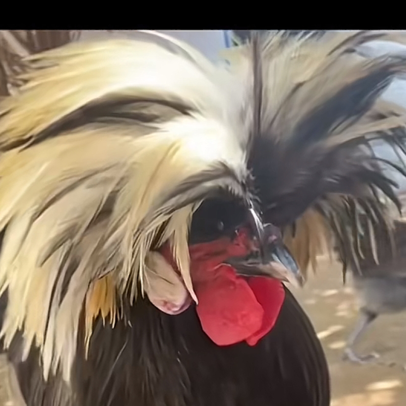 你干嘛