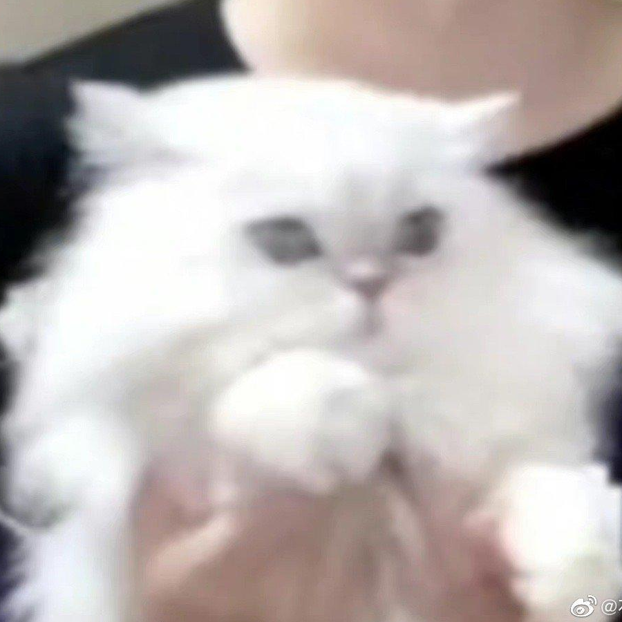 扫帚
