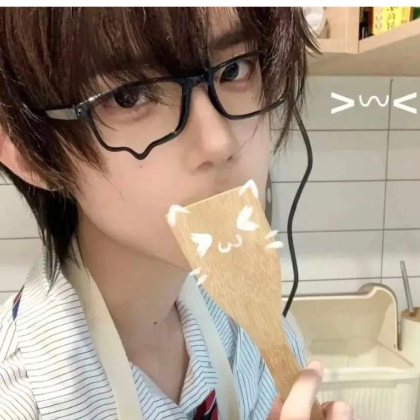 中也猫猫