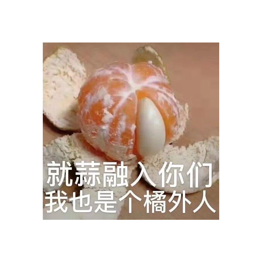 局外人