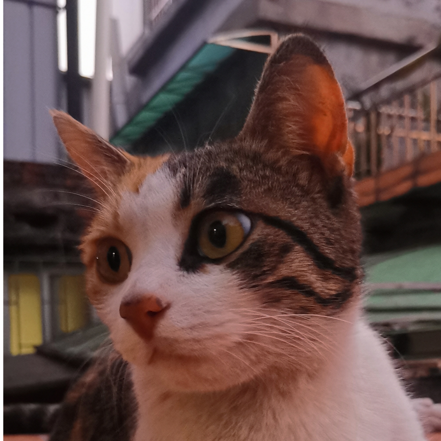MiaMia