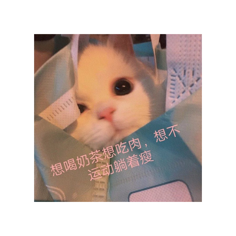 珠世