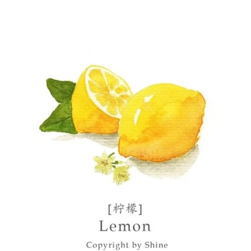 A Wild Lemon