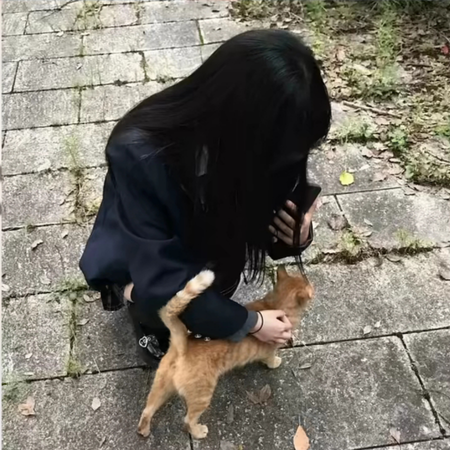 橼