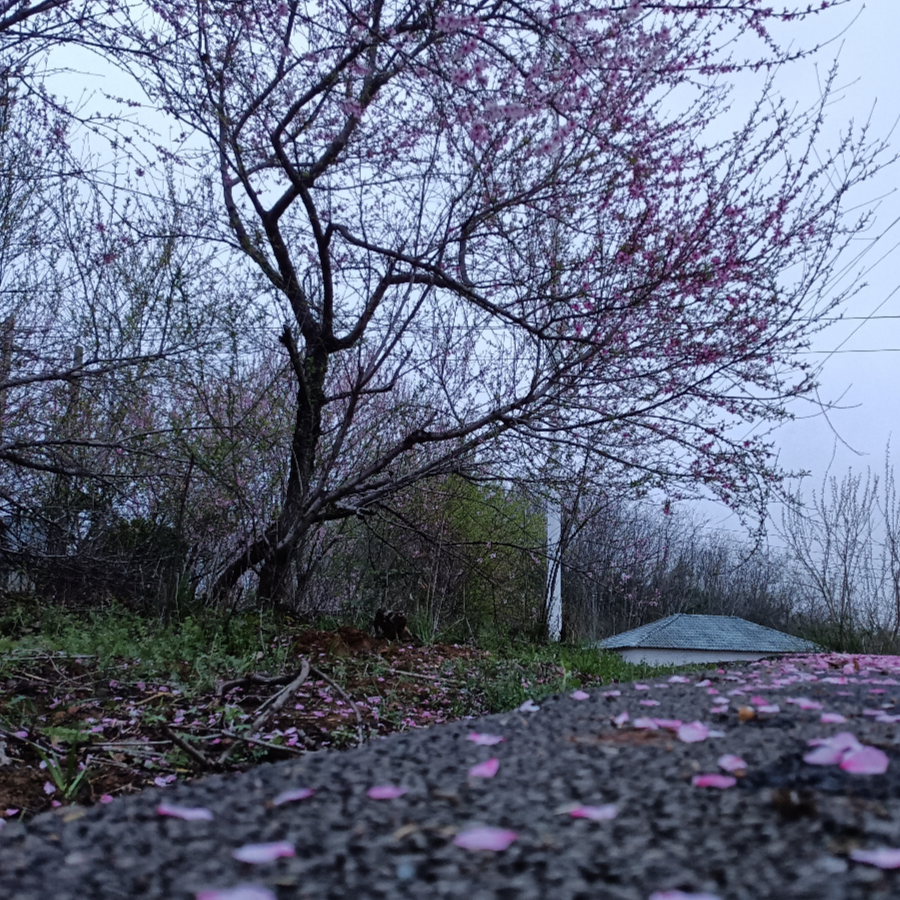 平平无奇蒲瞳仁