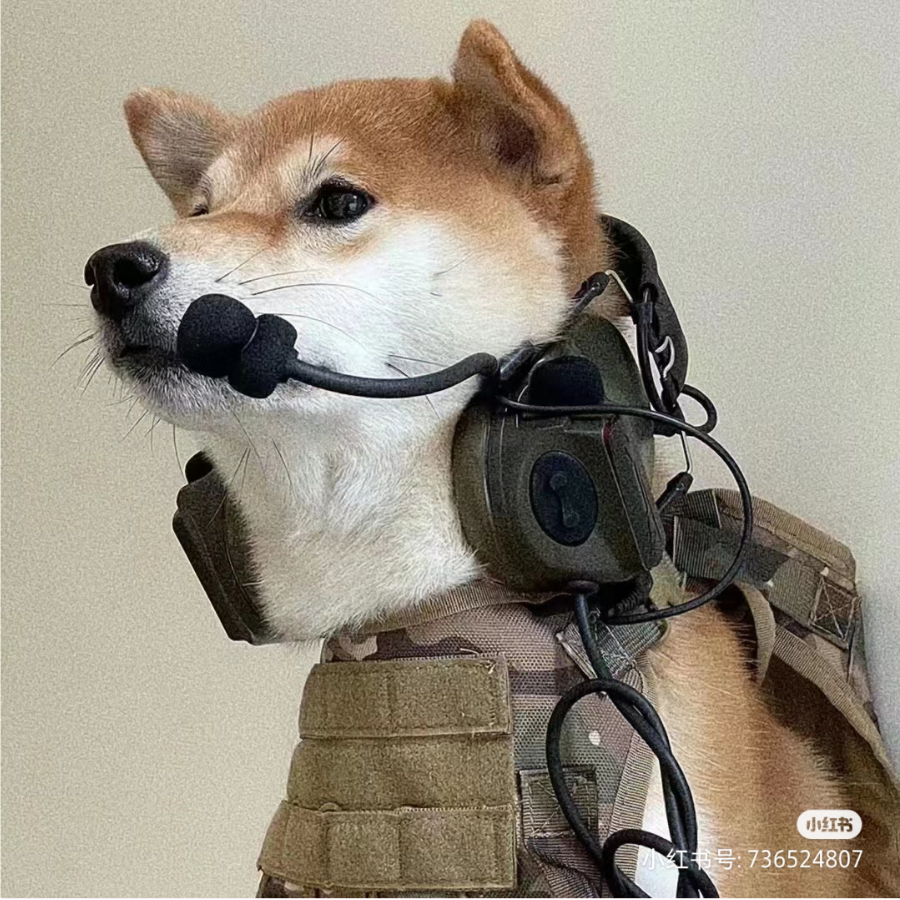 呜啦啦