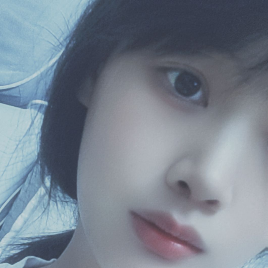 梧桐树