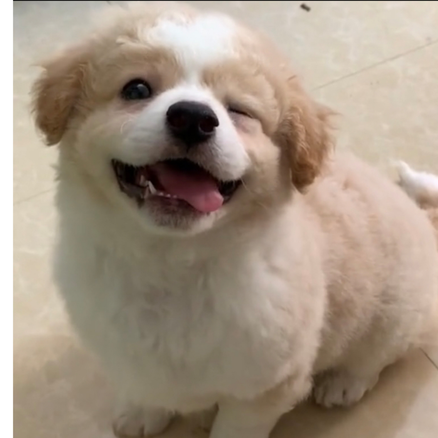 呜呜