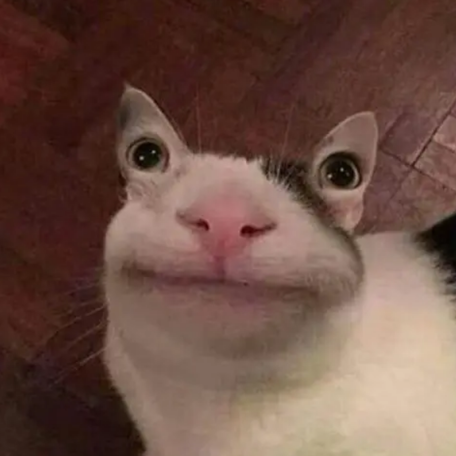 冇佳