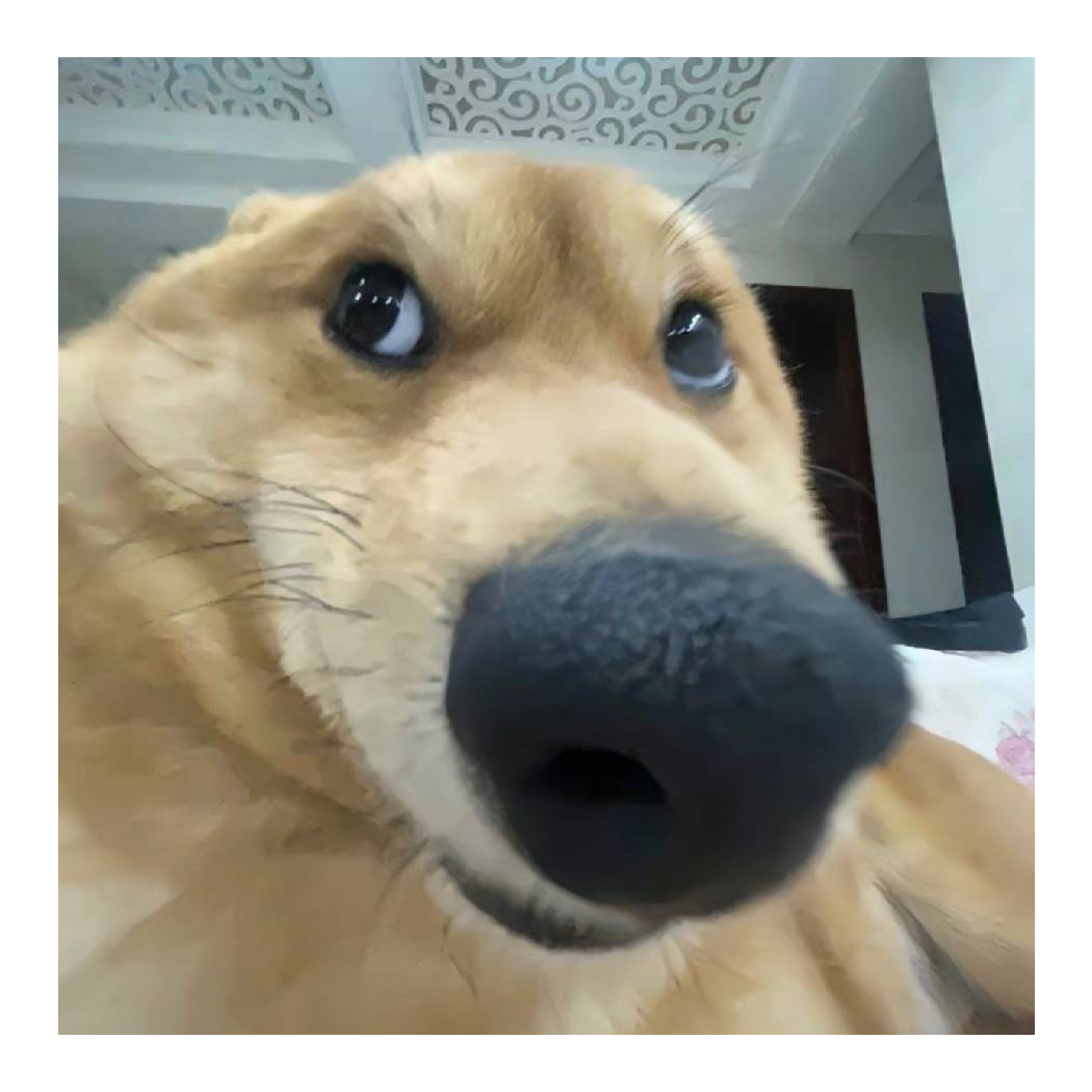 我每天都困