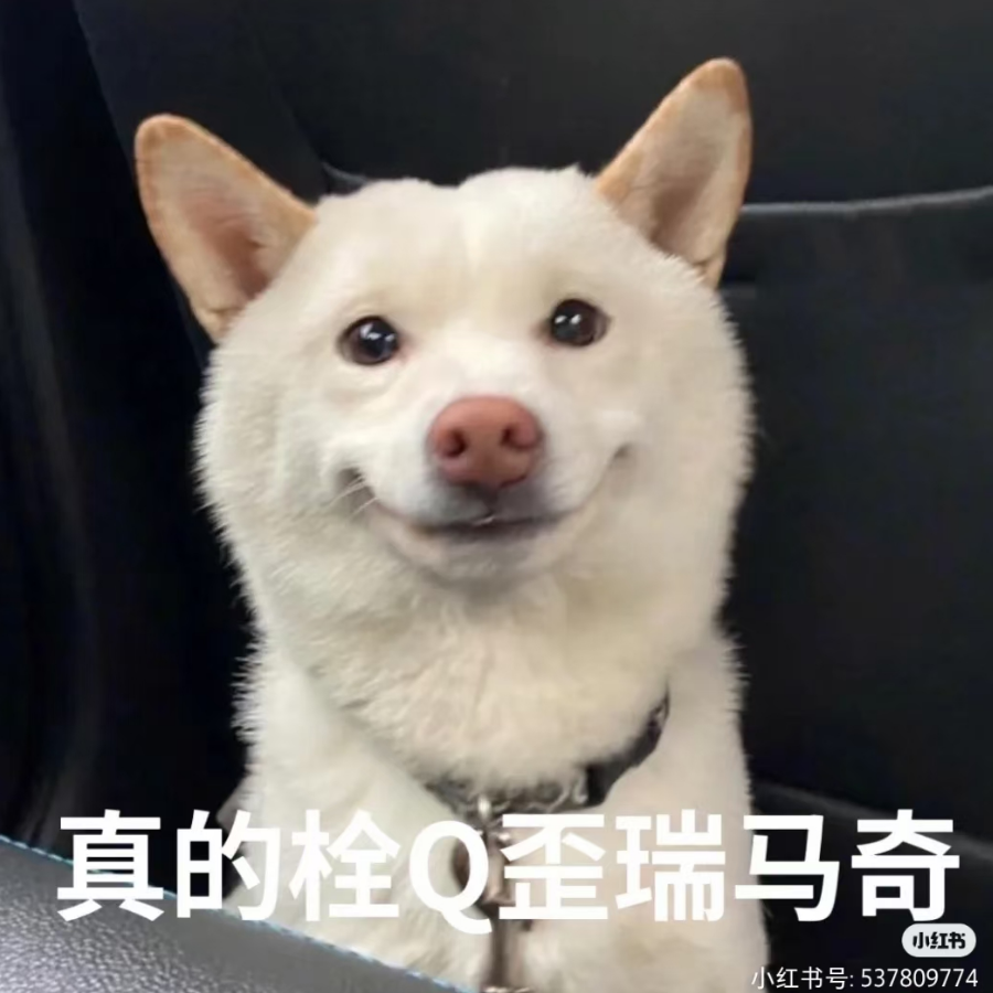 这里是大鱼