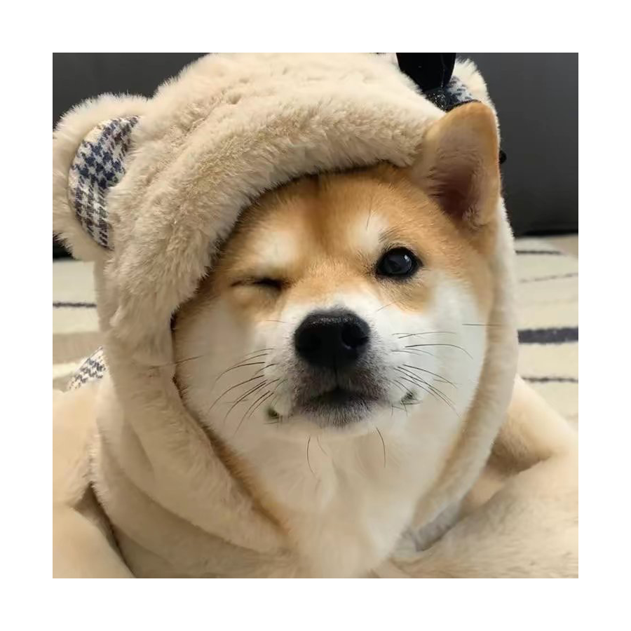 念安