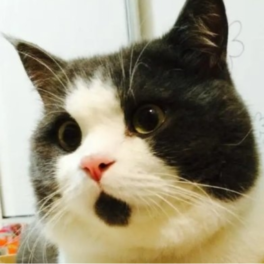 致美好生活
