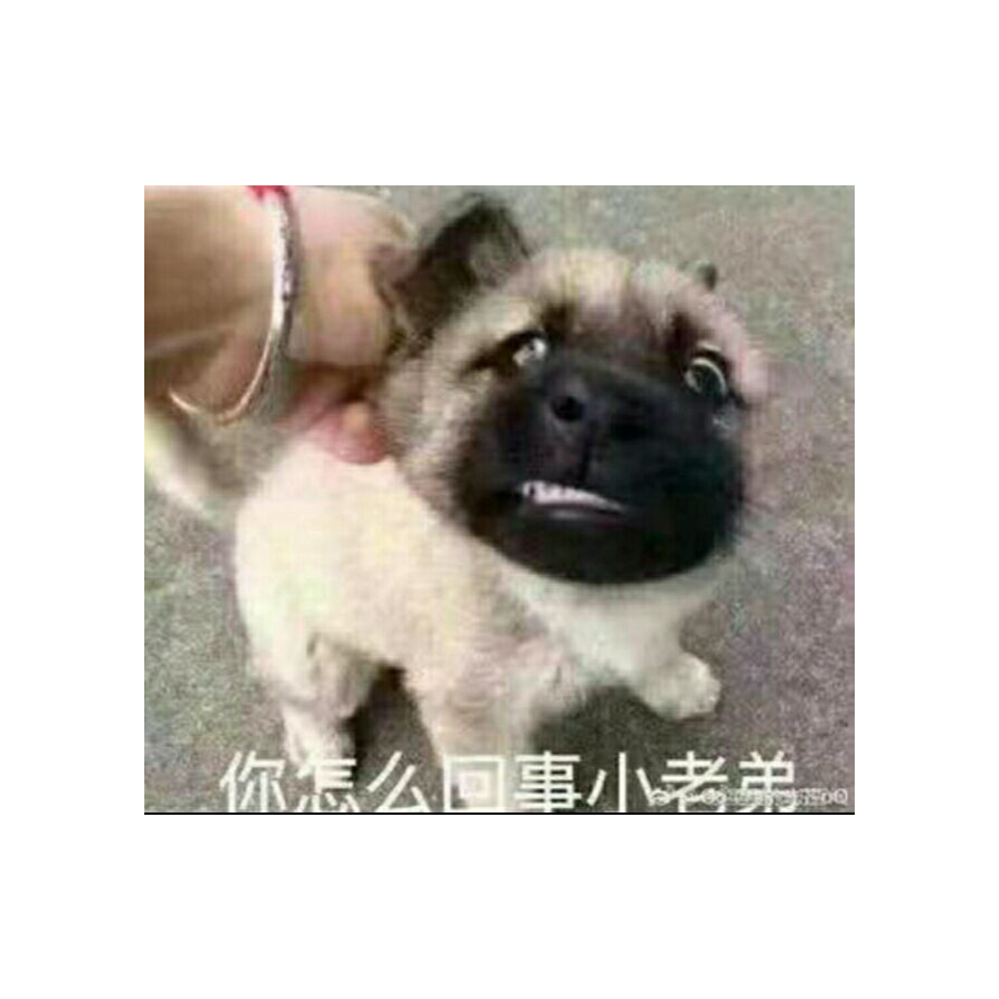 魂不归