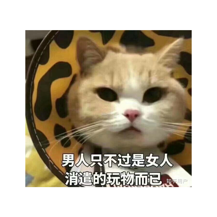 翩翩