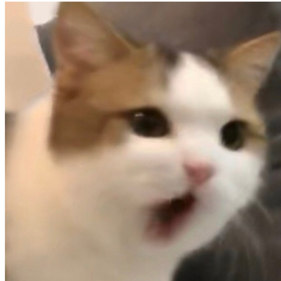 不拉不拉