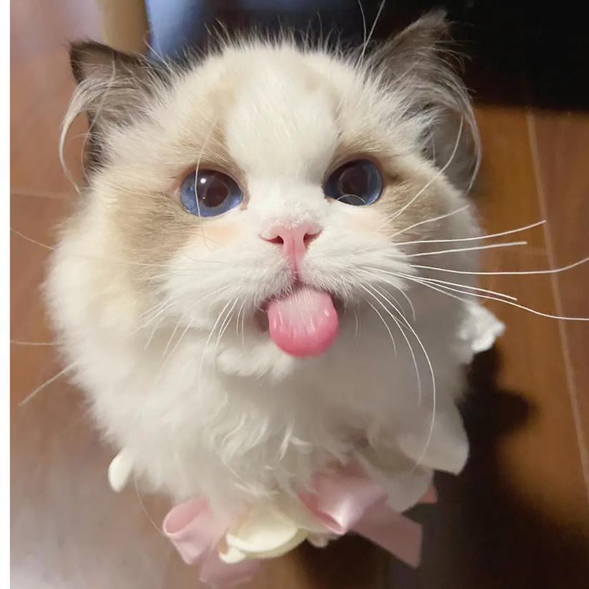 穗穗