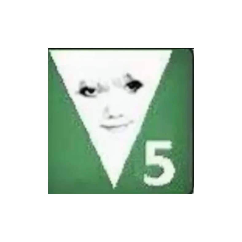 磺Vision5