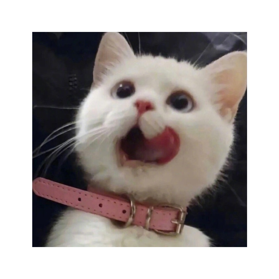 一颗桑葚