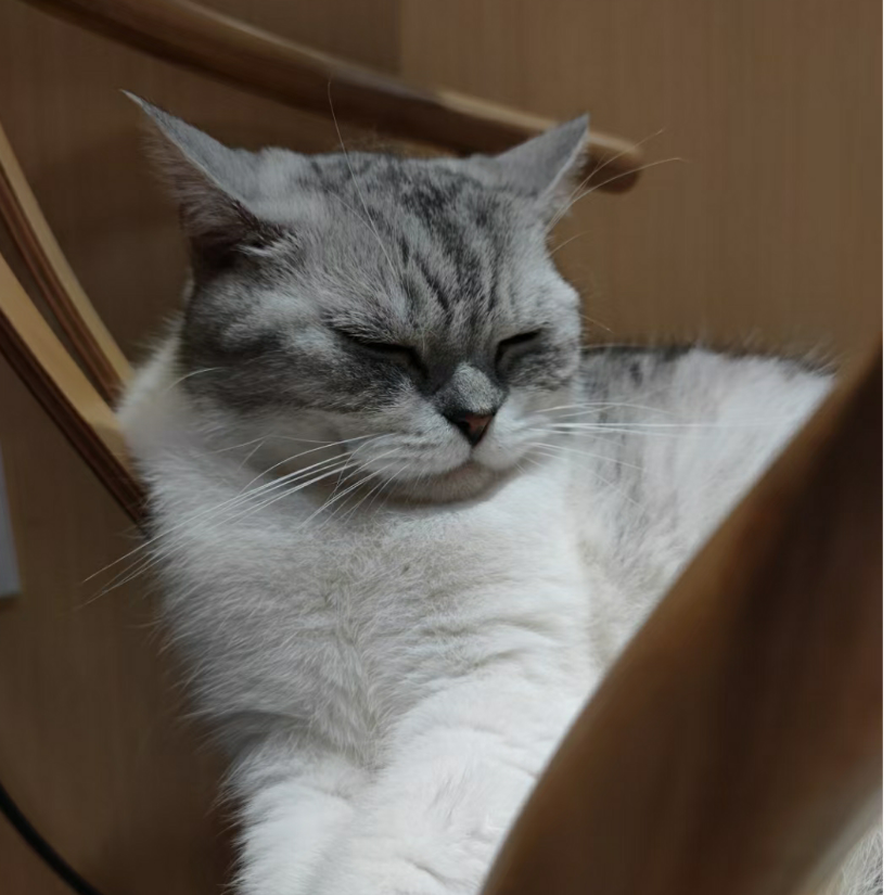 Yuki