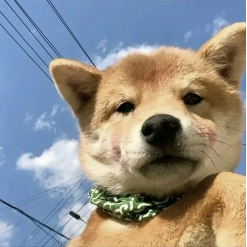 苏打水