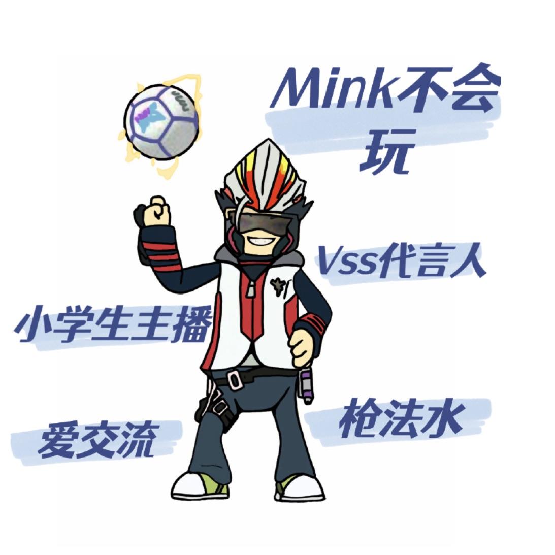 Mink不会玩