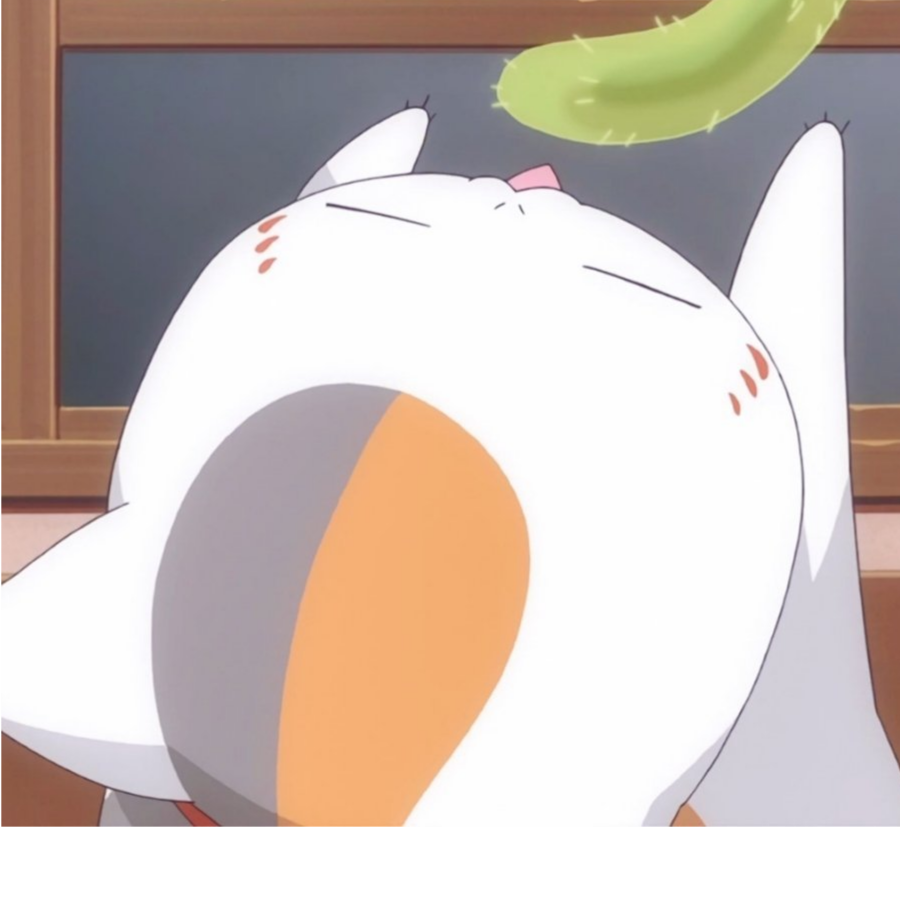 ('◇'｀)