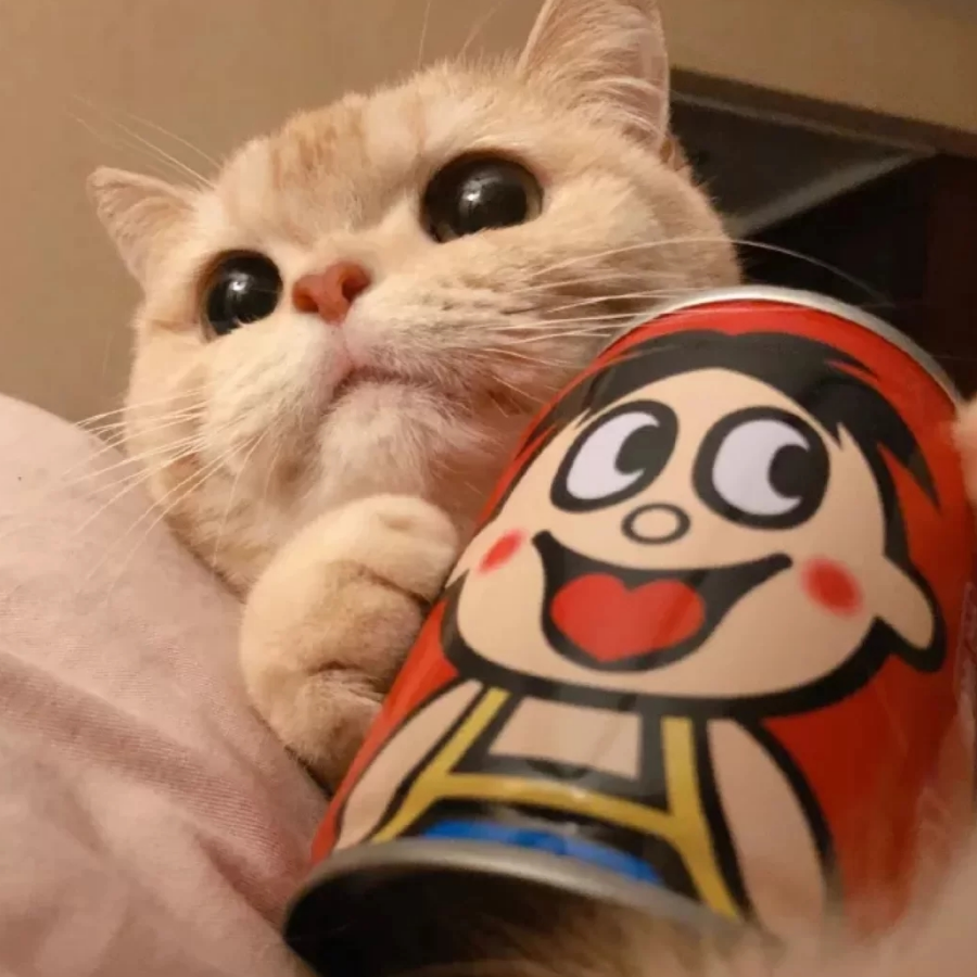 槿年
