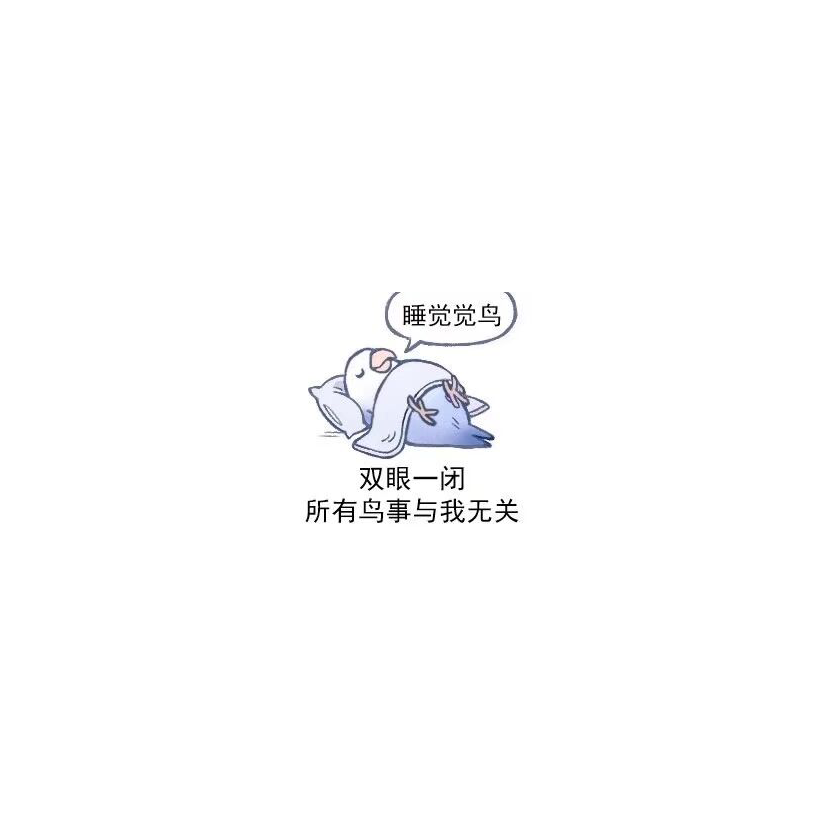 乐天派4