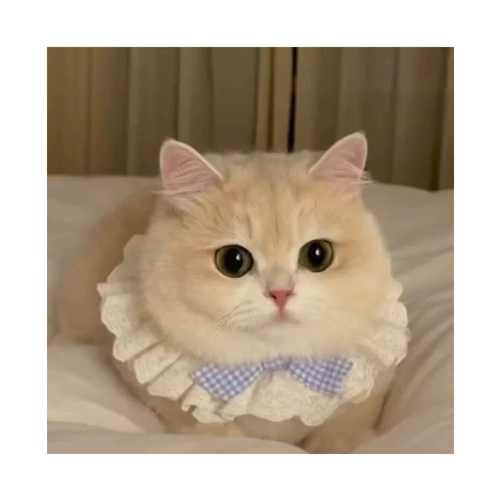 未眠