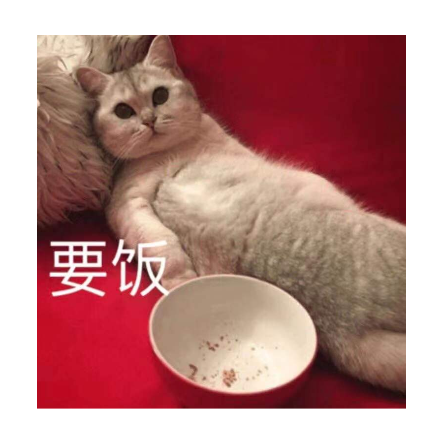 老黄