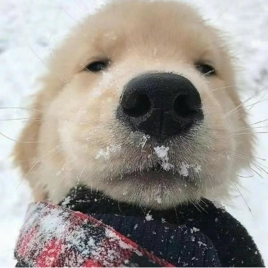 只怪当年太年轻