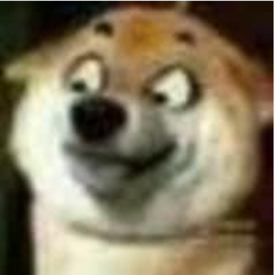 技术宅