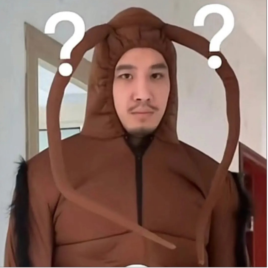 也不知道叫啥